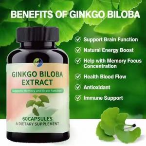 OEM natural supplement ginseng ginkgo biloba tablet 300mg ginkgo biloba extract capsules