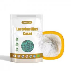 Top quality Lactobacillus casei probiotics Powder food grade Lactobacillus casei